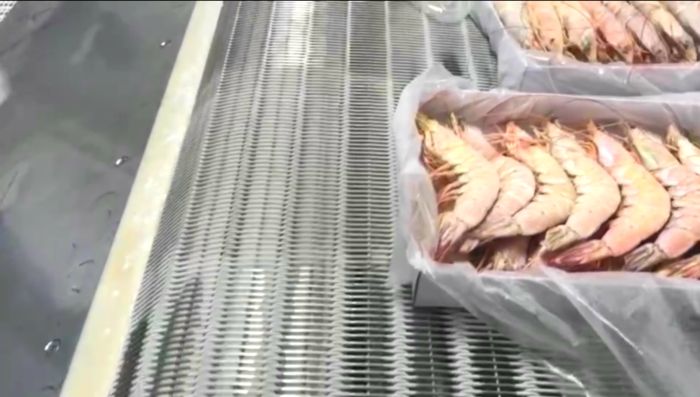 江蘇食品網(wǎng)帶廠家分析上海迪士尼禁止游客自帶飲食