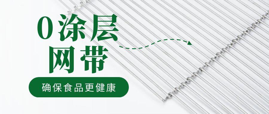 油炸機(jī)網(wǎng)帶“0 涂層”工藝，確保食品更健康