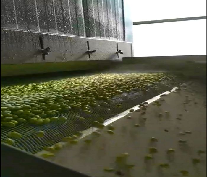 金屬網帶生產廠家 金屬網帶生產廠家