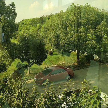 廠區綠植 廠區綠植