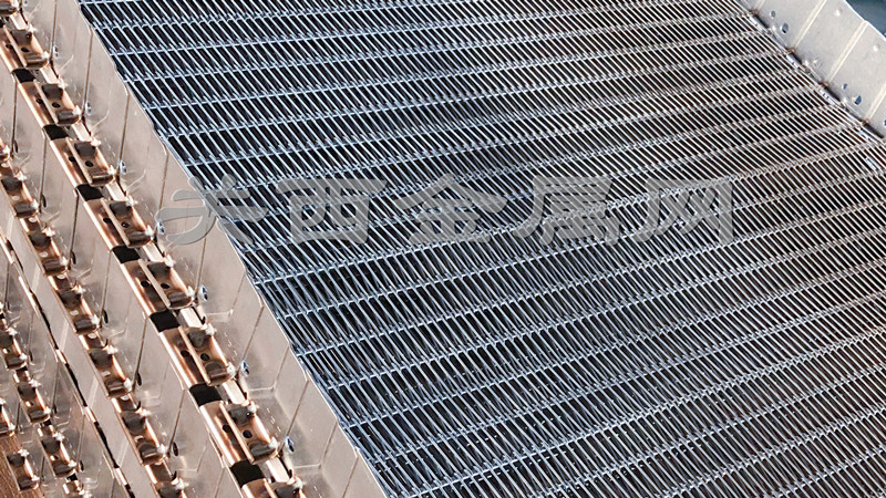 冷凍網帶 冷凍網帶