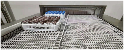 速凍輸送帶 速凍輸送帶