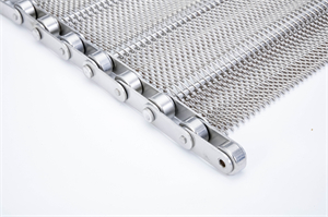 鏈條網(wǎng)帶 鏈條網(wǎng)帶