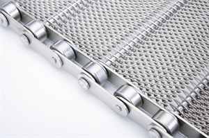 鏈條網(wǎng)帶 鏈條網(wǎng)帶